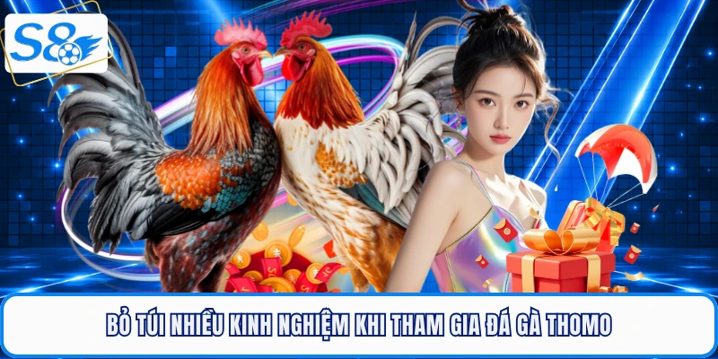 Bỏ túi nhiều kinh nghiệm khi tham gia đá gà Thomo