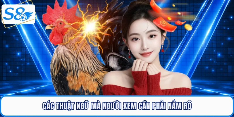 Các thuật ngữ đá gà cựa dao mà người xem cần phải nắm rõ