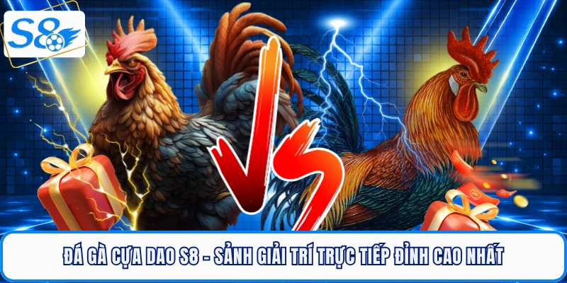 da-ga-cua-dao-s8-sanh-giai-tri-truc-tiep-dinh-cao-nhat