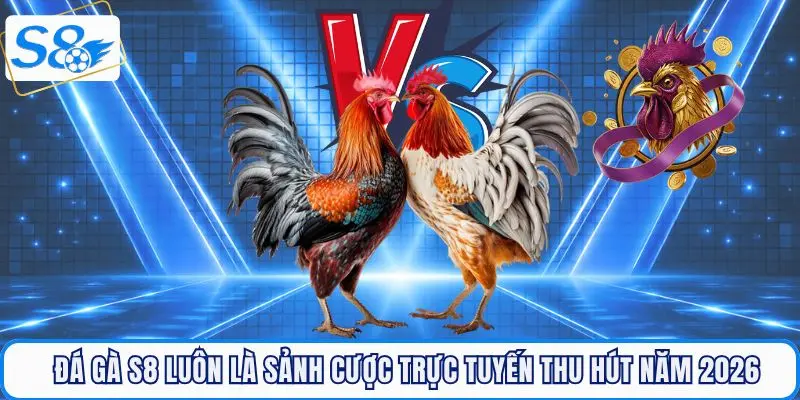 Đá gà S8 luôn là sảnh cược trực tiếp thu hút hội viên