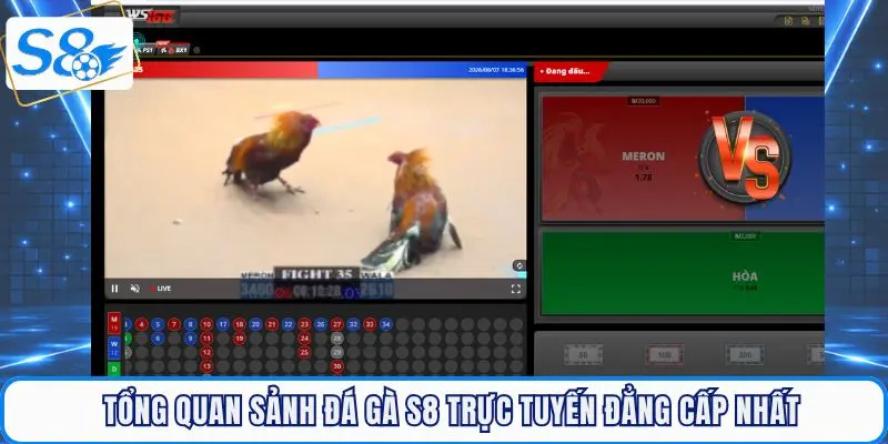 Tổng quan sảnh đá gà S8 trực tuyến